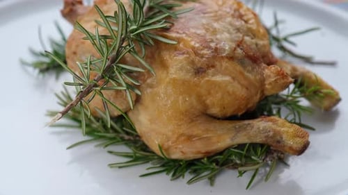 Roasted Chicken Served on Rosemary Bed