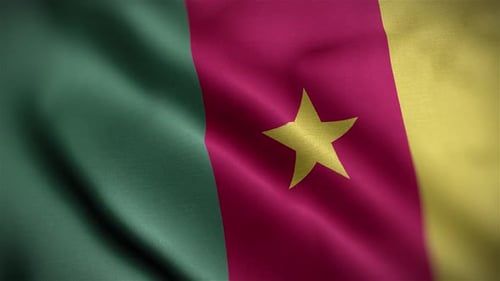 Cameroon Flag Textured Waving Close Up Background HD