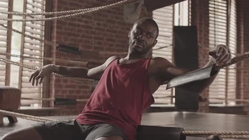 Boxer Resting in Ring, Looking at the Camera