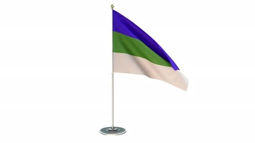 Waving 3D Flag on Pole Animation