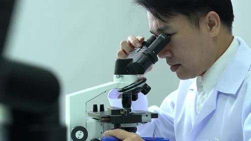 Scientist Looks Through Microscope in Laboratory
