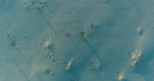 Aerial Drone View of Cold Winter Landscape with Arctic Field, Trees Covered with Frost Snow and