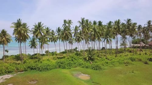 Coconut Palm Tree Coast Line with Sandy Beach By Tropical Sea in Thailand. Aerial View