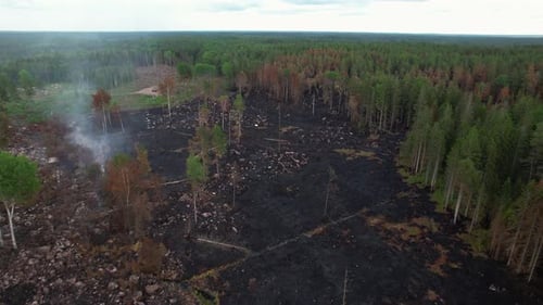 Drone flying over black ground after forest fire in Finsjö Sweden June 26 2021