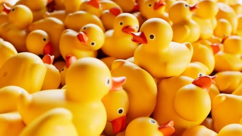 Animated Pile of Yellow Rubber Ducks Floating