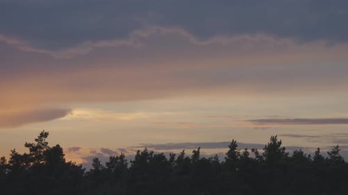Spring Sunset in the Forest