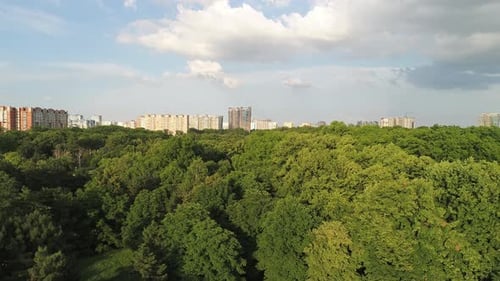 Luftaufnahme großer grüner Park- und Stadtgebäude