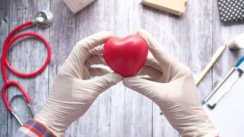 Heart Held in Gloved Hands in Doctor's Office