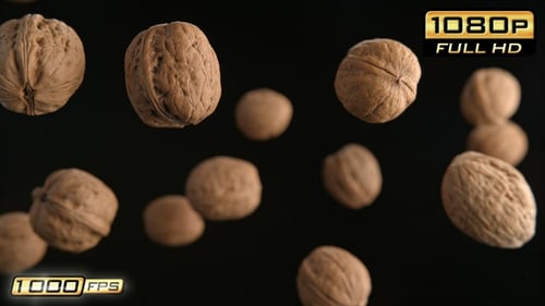 Walnuts in Shells Floating in Air on Black