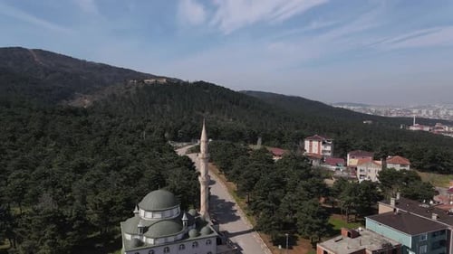 Islamic Mosque Forest
