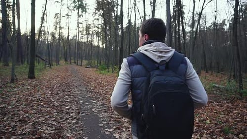 Adult Man Walks Along the Autumnal Forest To Get New Impressions of Nature.