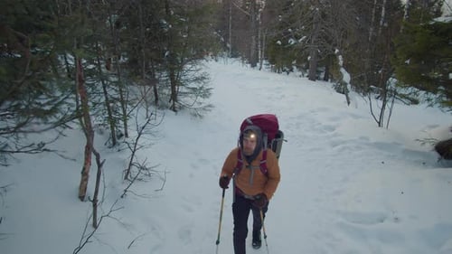 Hiker with Headlamp and Sticks Walking on Snowy Trail