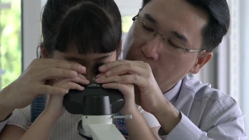 Student looking microscope