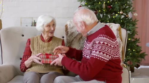 Senior Couple Exchanging Christmas Gifts in Home