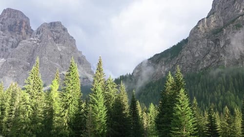 Fog in the Forest and Clouds over the Mountains