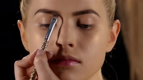 Beautiful Girl Getting Professional Makeup. Black. Closeup