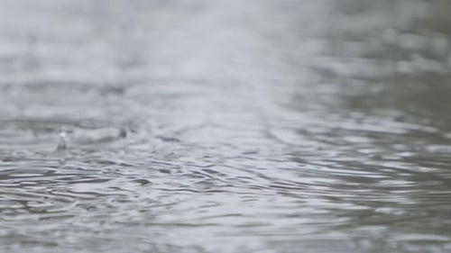Slow motion of rain drops falling into a water puddle with water splashing