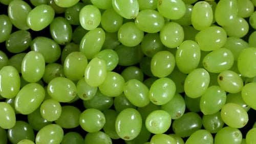 Viele frische Trauben in Stop Motion, Nahaufnahme, Hintergrund von oben