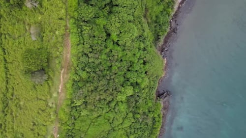 Aerial Hill and Beach
