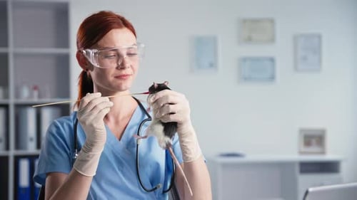 Veterinarian Feeding a Pet Rat in a Clinic