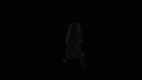 Animated Black Panther Wild Animal with Alpha Channel