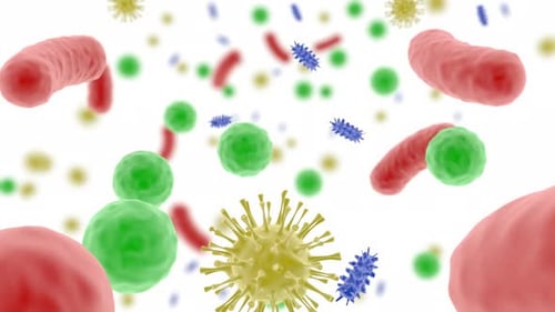 Microbiome Body in the Human Gut in 3d Style Healthy Food Microbes Bacteria