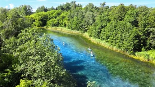 People Paddleboarding on River Through Lush Green Forest