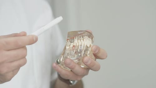 Dental Model Demonstration with White Marker