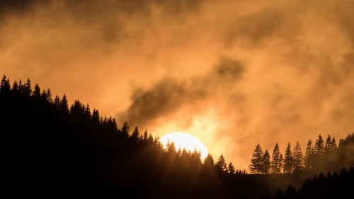Sunset over Dark Forest