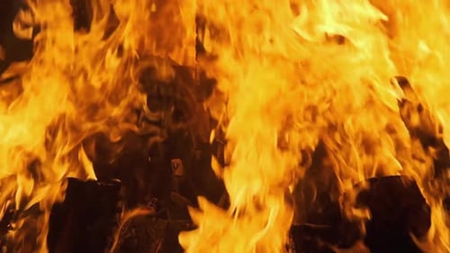 Big Bonfire Burning at Night. Fire Flame Background. Slow Motion 240 Fps