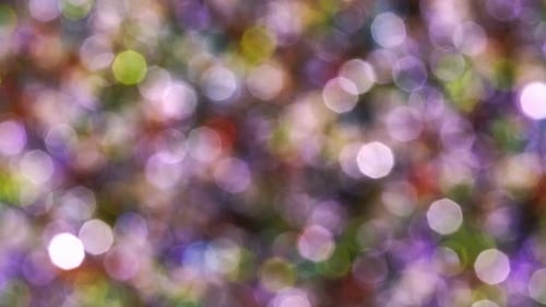 Colorful Bokeh Lights Background Abstract Stock Footage