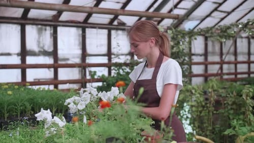 Woman tending to flowers in sunny greenhouse