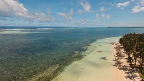 Tropischer Strand mit türkisfarbenem Meer