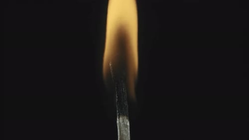 Burning Match Close Up in Dark