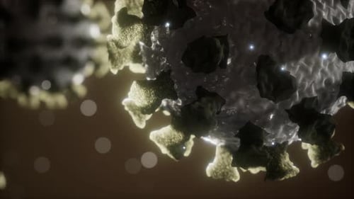 Coronavirus COVID-19 Medical Model