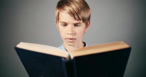 Young Blonde Boy Reading a Book Indoors