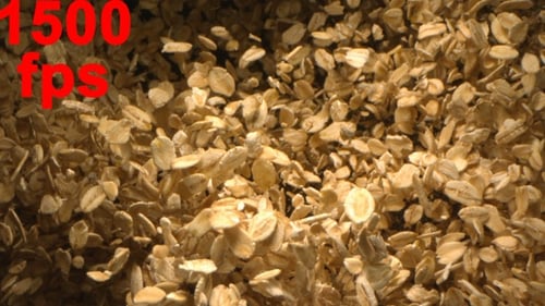 Close Up View of Dry Oatmeal Flakes