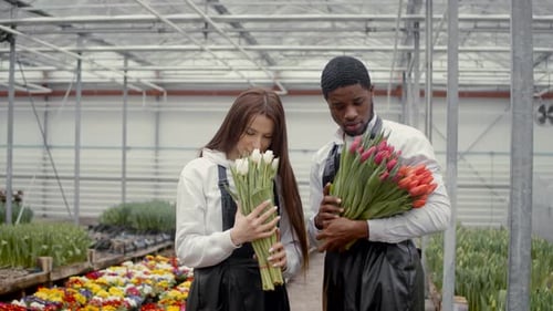 Two Florists Working at Flower Indoor Plantation