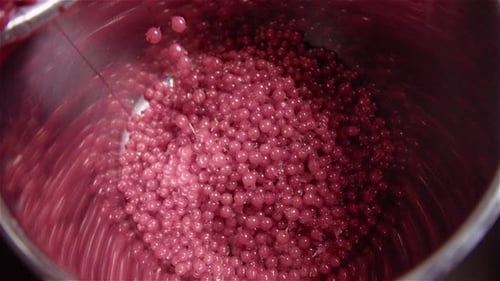 Red Currants Being Poured into a Container
