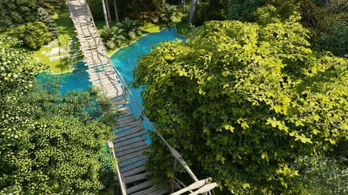 Wooden Bridge In Forest HD