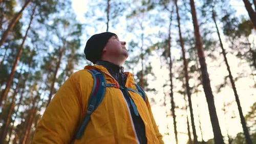 Man Backpacker Walking on Pine Forest