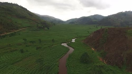Aerial view of a river near agriculture fields