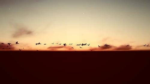 Silhouetted Birds Flying at Sunset Across Horizon