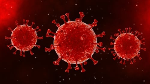 3D Animation of Rotating Red Virus Cells