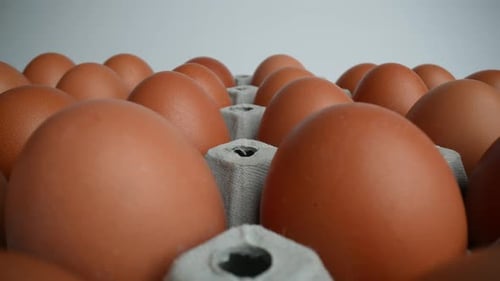 Raw Eggs 02