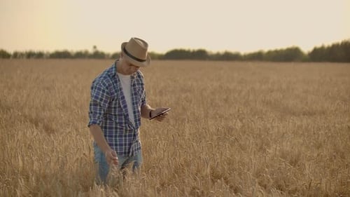 A Young Farmer with a Tablet in a Hat in a Field of Rye Touches the Grain and Looks at the Sprouts