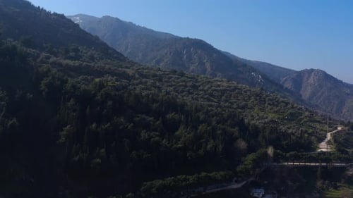 Forest And Mountain Aerial View