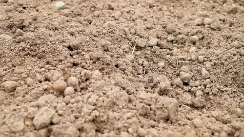 Close Up of Arid Rural Soil