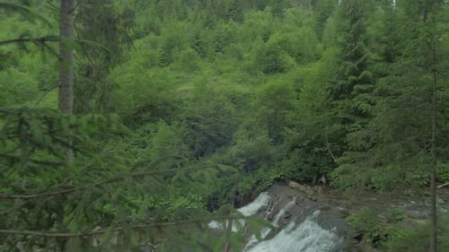Cascade et forêt