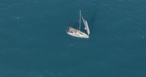 Sun Yachts with White Sails in Open Sea Aerial